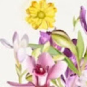 Meet your Posher, Corina